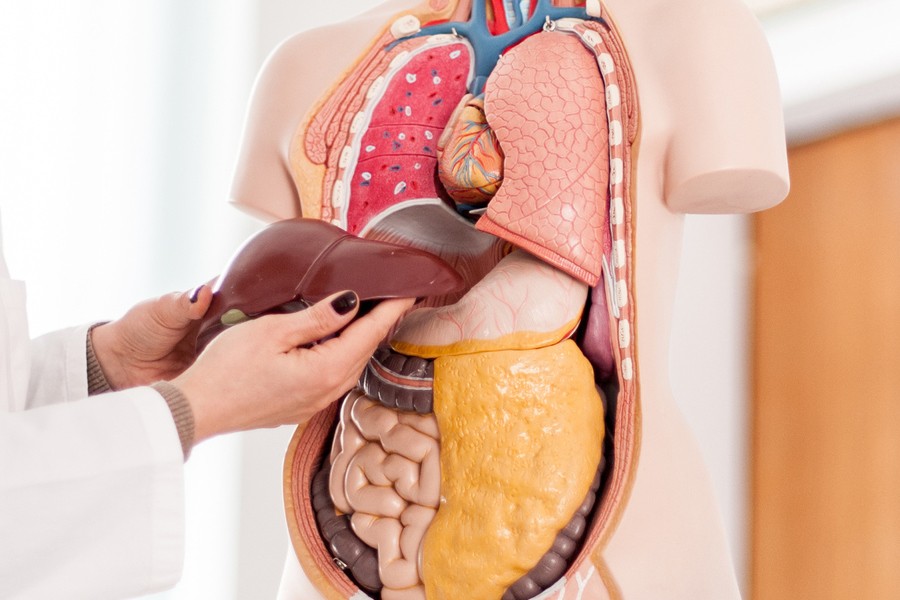 Savremene dijagnostičke i terapijske procedure kod difuznih hroničnih bolesti jetre